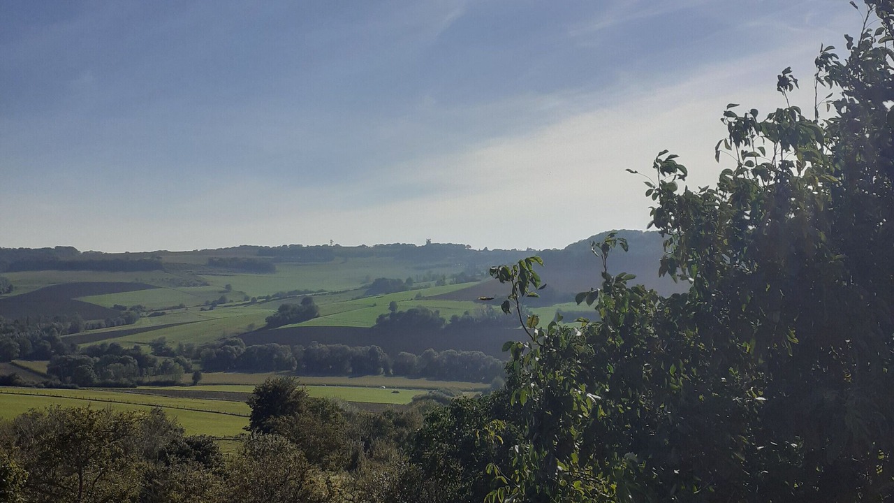 Photo of Others in Bouxieres-aux-Chenes