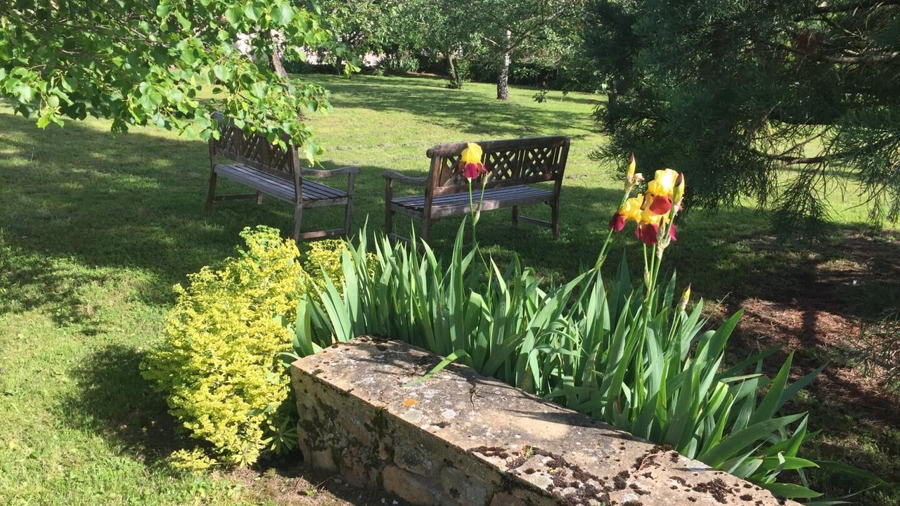 Photo of Outdoor in Trambly