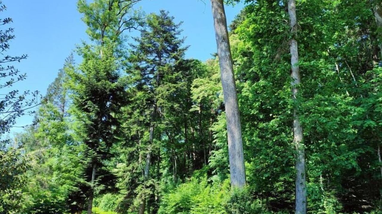 Photo of Outdoor in La Grande-Verriere