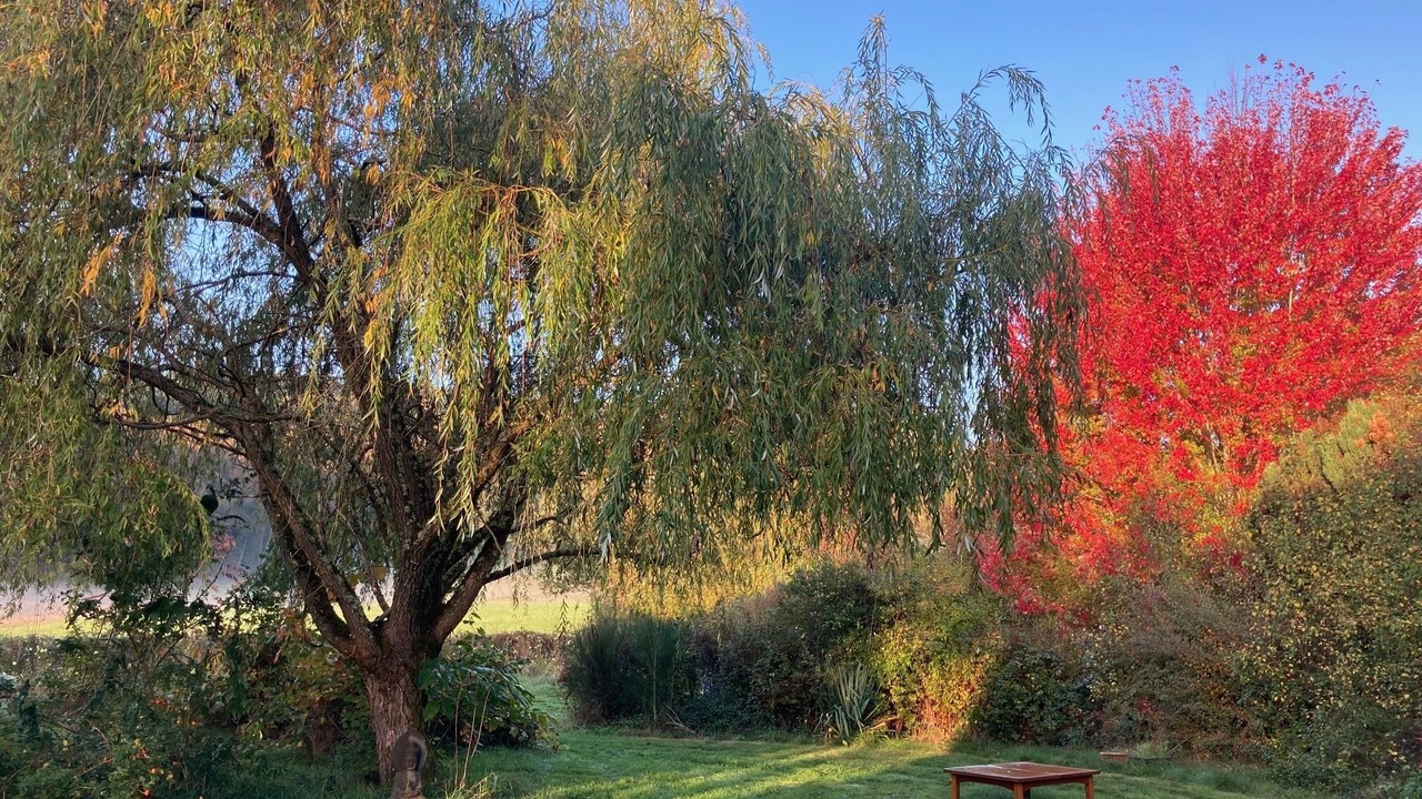Photo of Outdoor in Thil-sur-Arroux