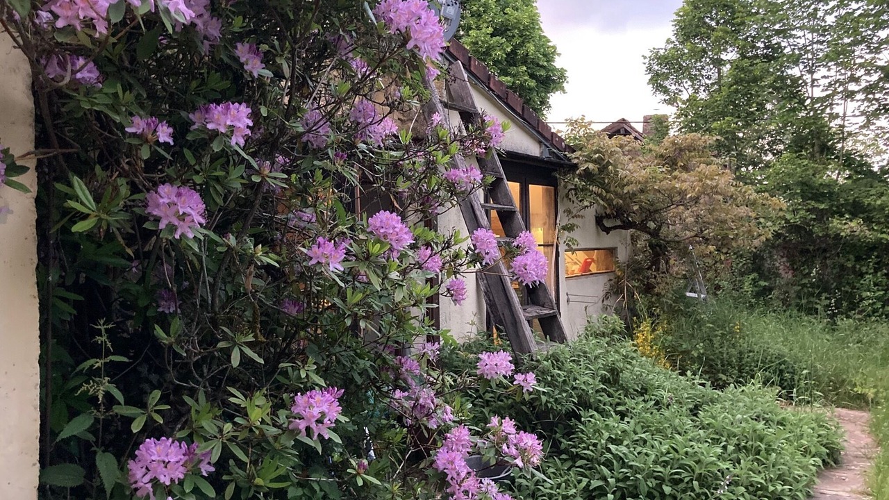 Photo of Outdoor in Thil-sur-Arroux
