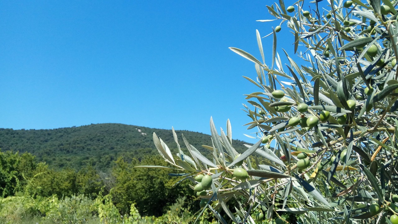 Photo of Outdoor in Crestet