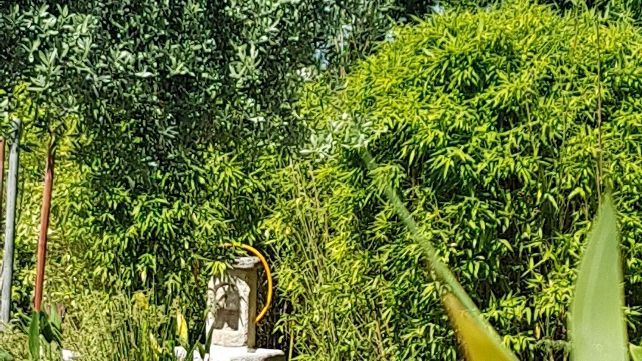 Photo of Outdoor in Venasque