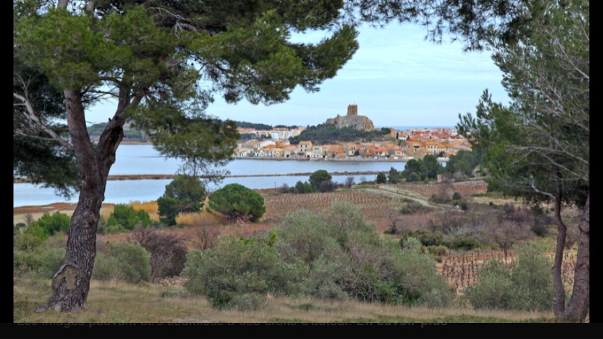 Photo of Outdoor in Gruissan Plage
