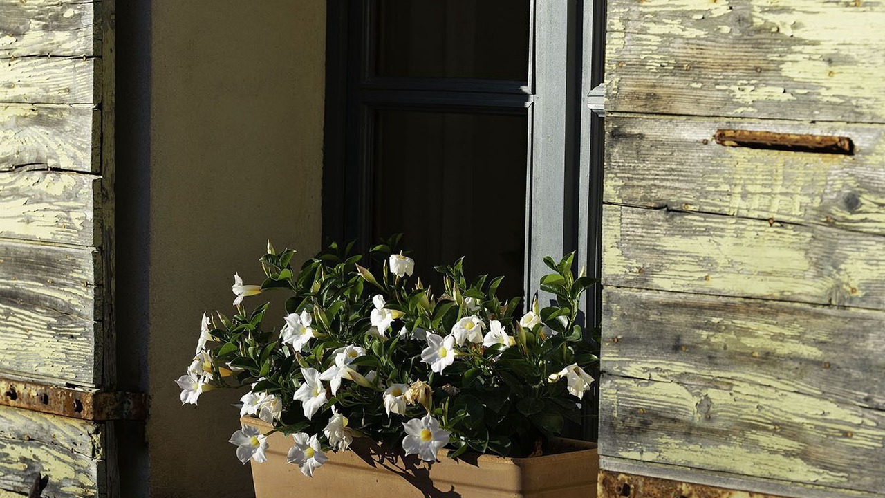 Photo of Outdoor in Le Beaucet
