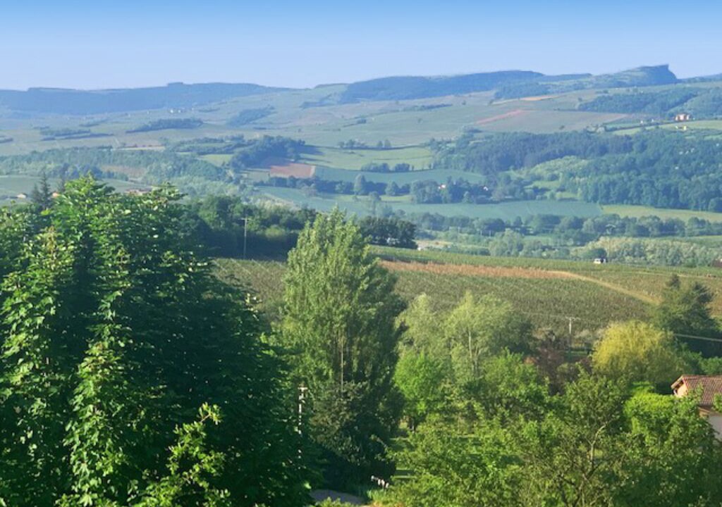 Photo of Outdoor in La Roche-Vineuse