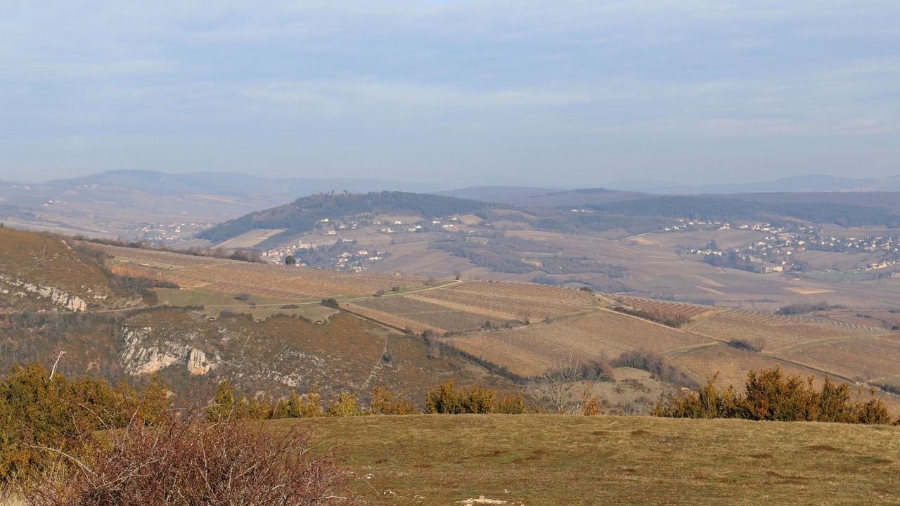 Photo of Outdoor in La Roche-Vineuse