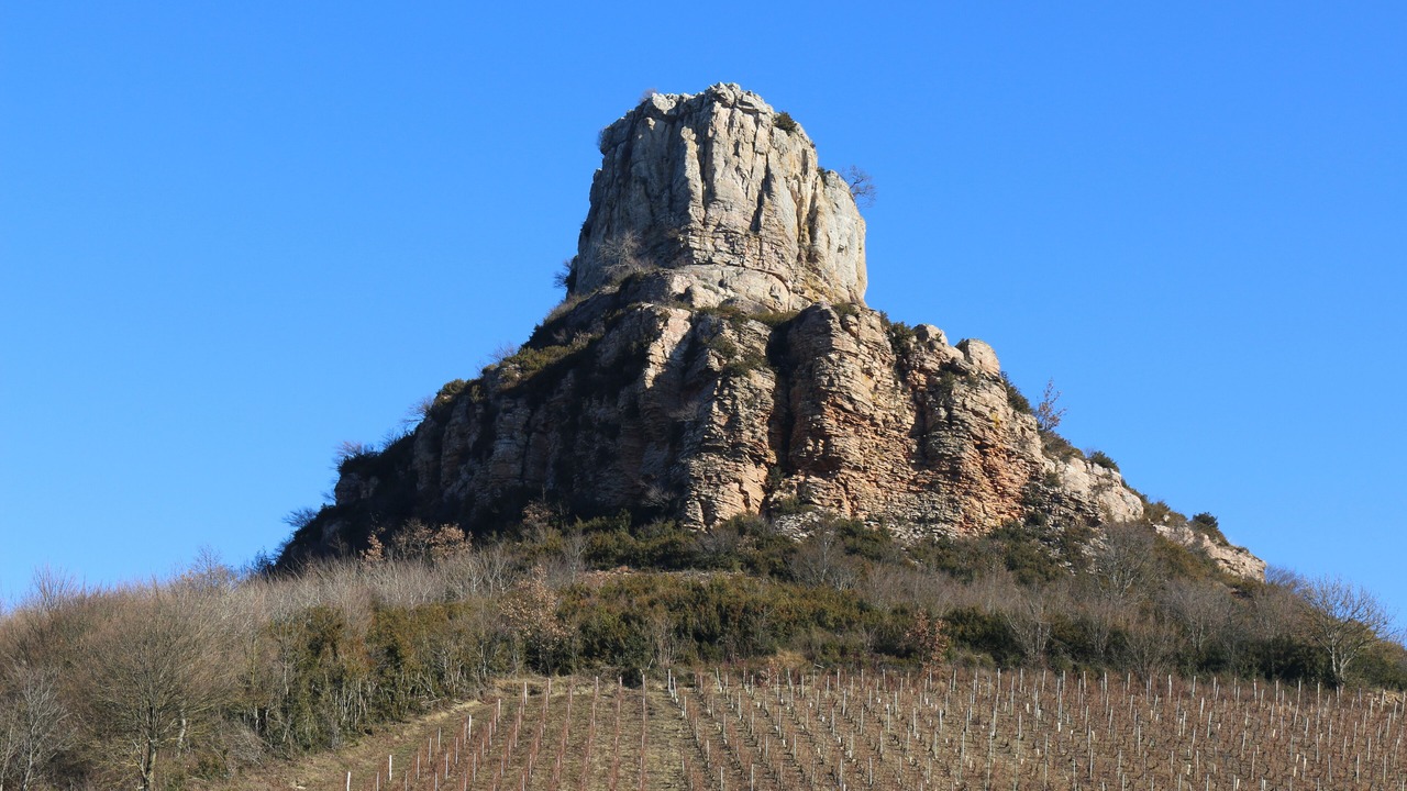 Photo of Outdoor in La Roche-Vineuse