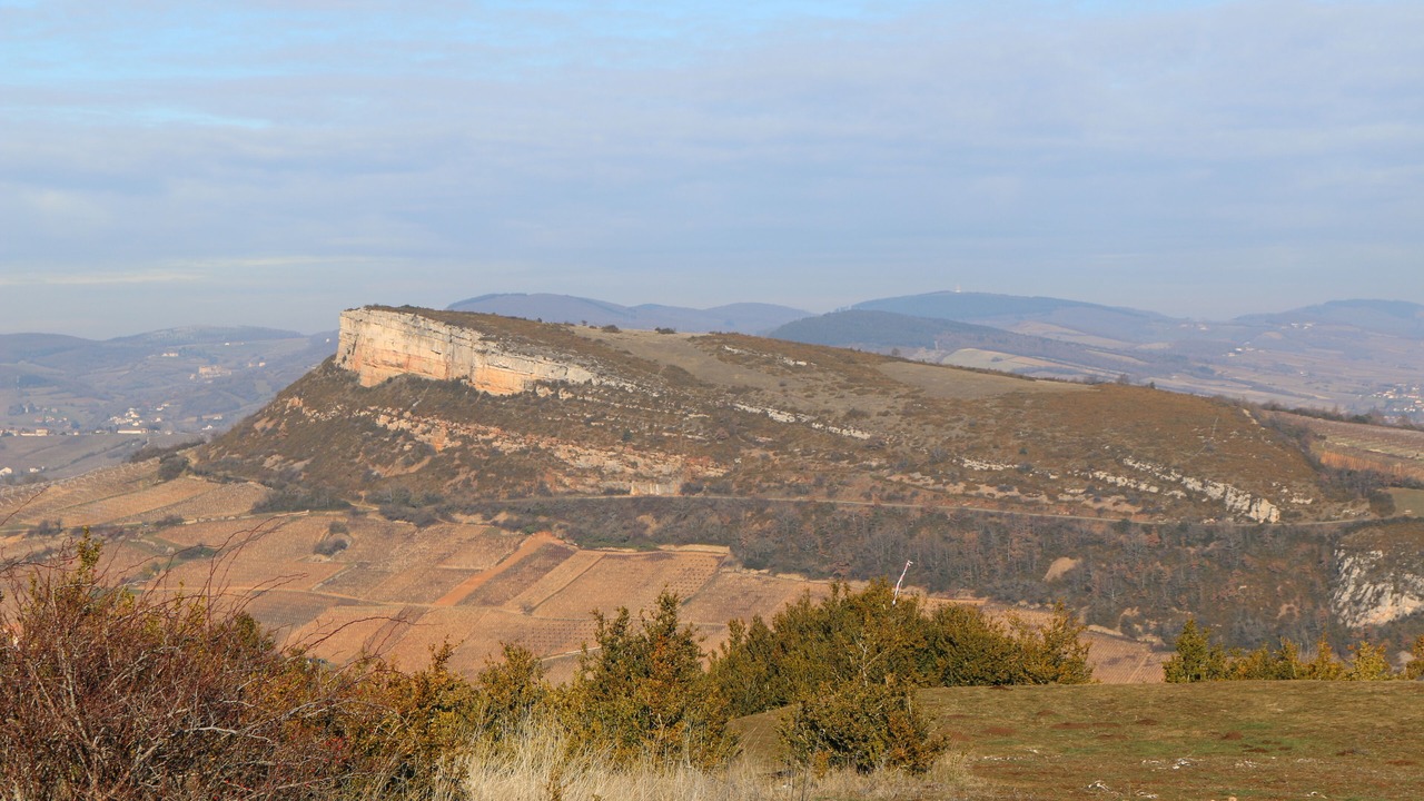 Photo of Outdoor in La Roche-Vineuse