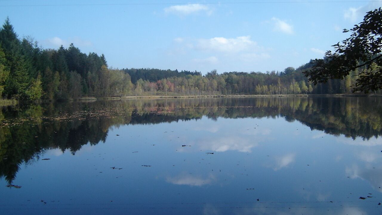 Photo of Others in Belleherbe
