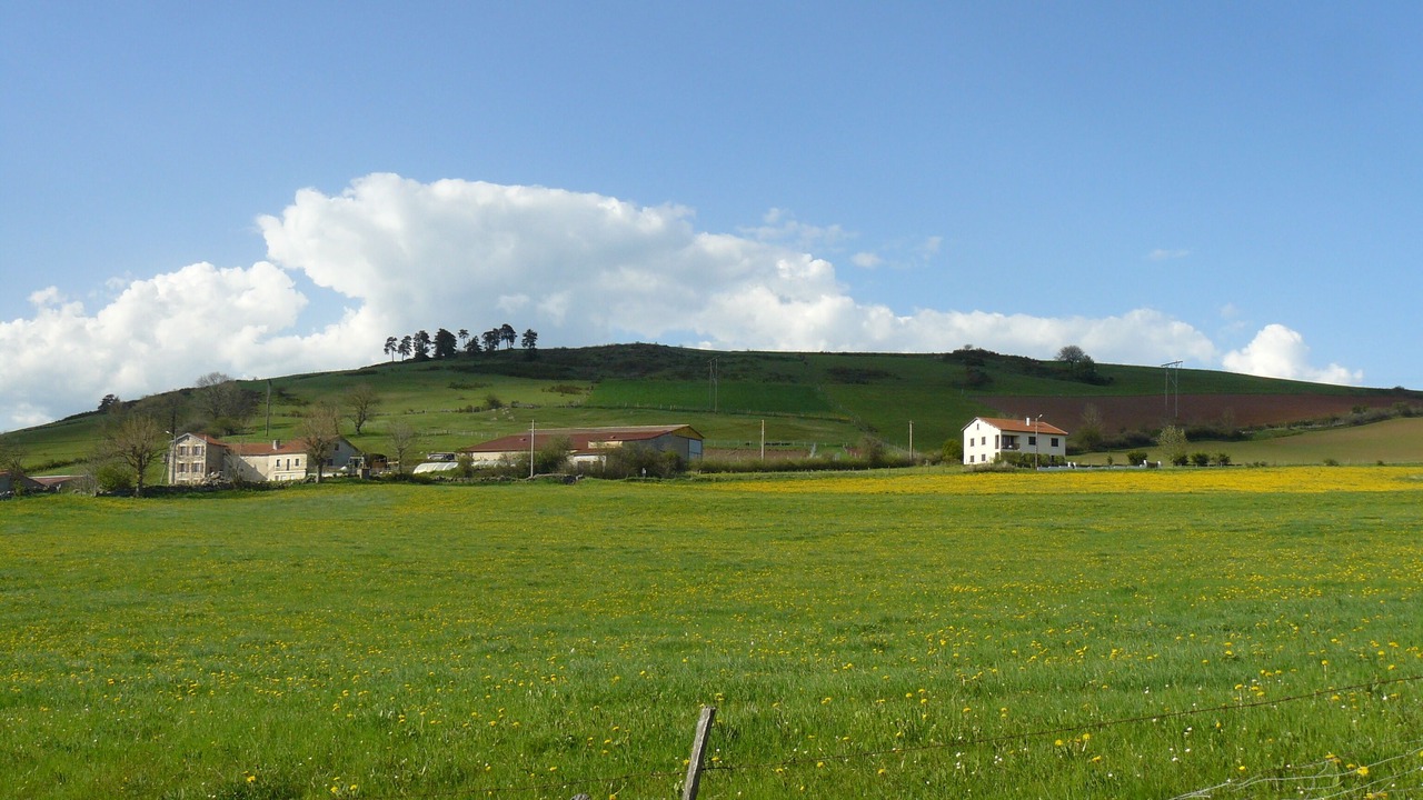 Photo of Outdoor in Saint-Etienne-du-Vigan