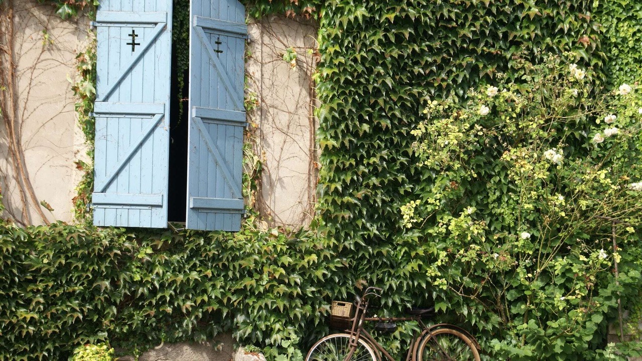Photo of Others in Vic-sur-Seille