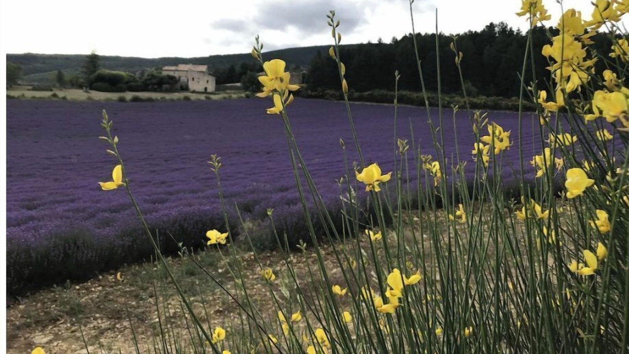 Photo of Outdoor in Reilhanette