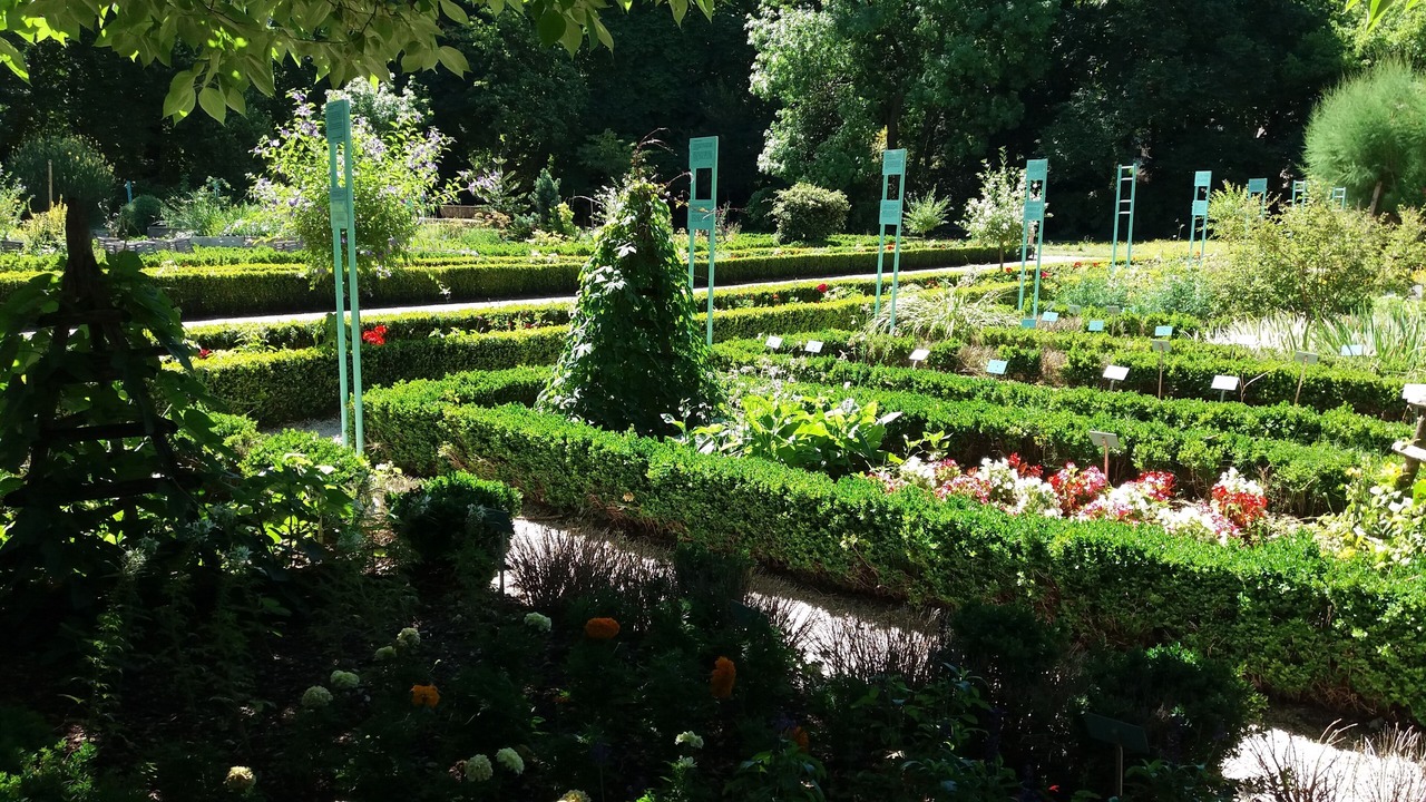 Photo of Outdoor in Faubourg-Raines