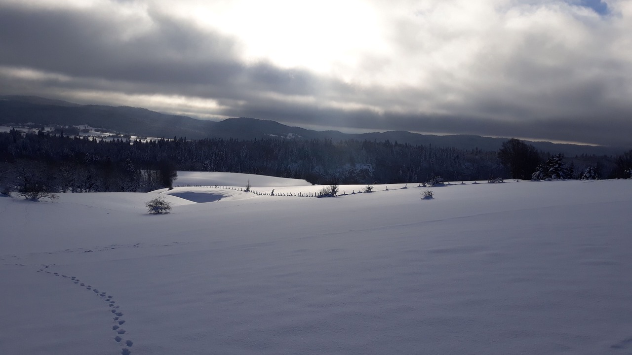 Photo of Outdoor in Foncine-le-Haut