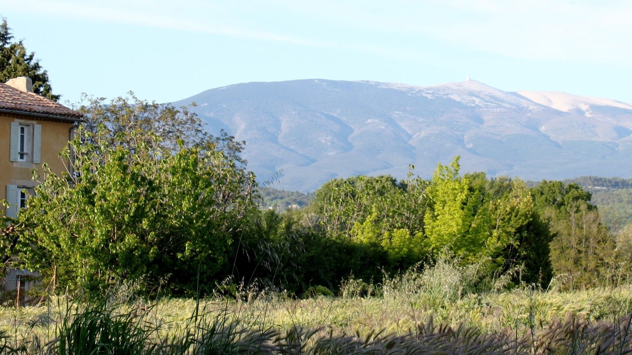 Photo of Outdoor in Mazan