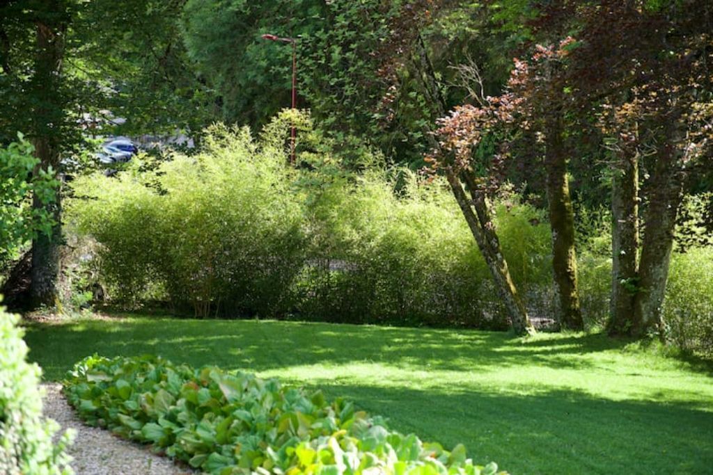 Photo of Outdoor in Maiche