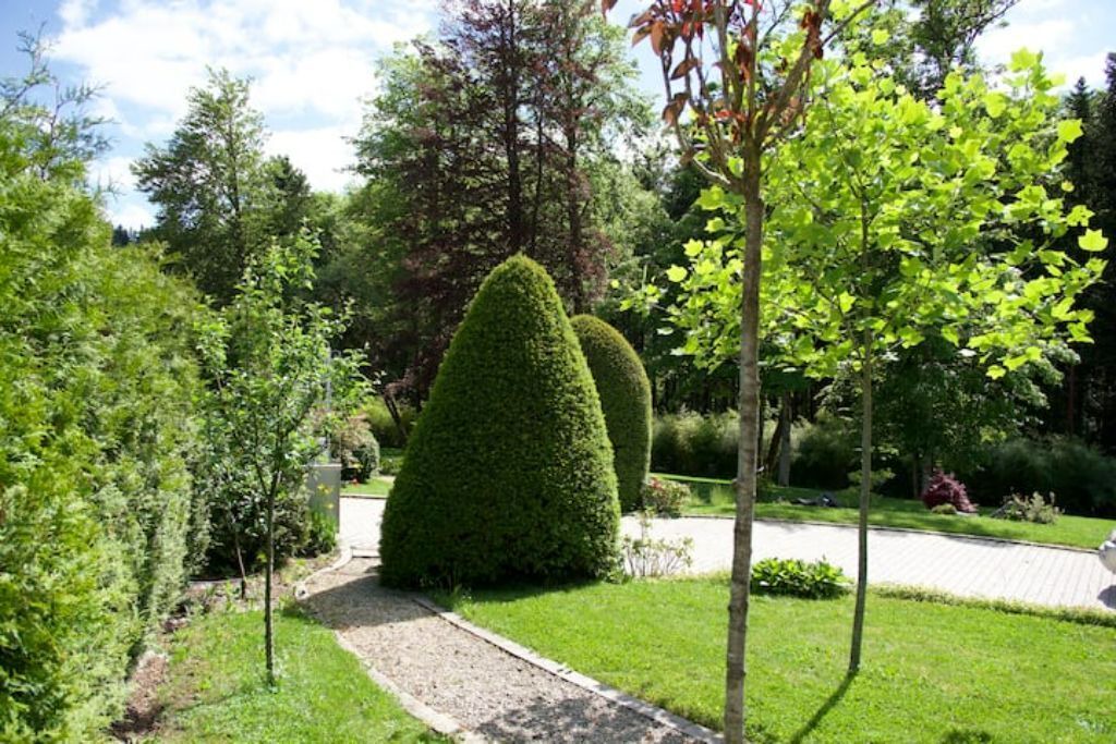 Photo of Outdoor in Maiche