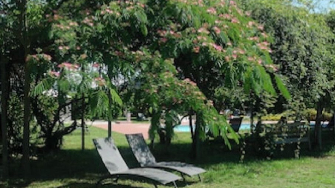 Photo of Outdoor in Piegon