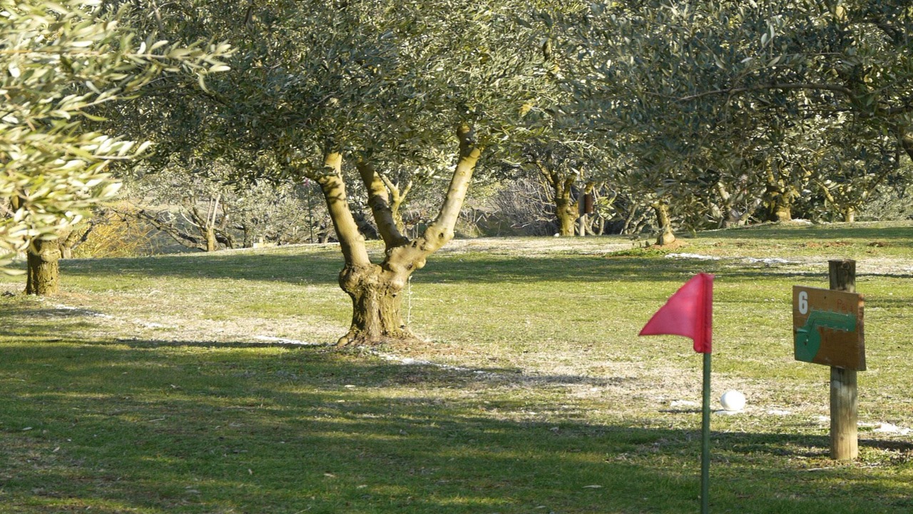 Photo of Outdoor in Piegon