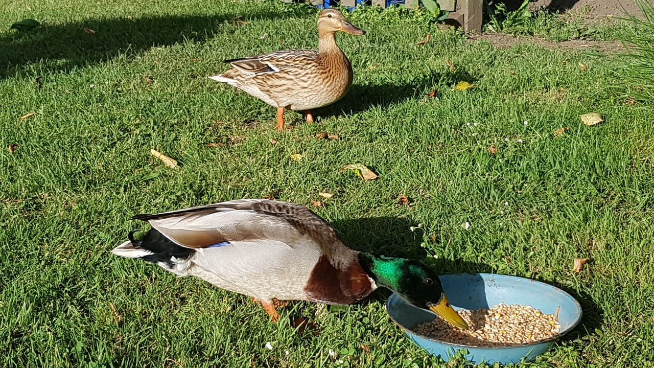 Photo of Outdoor in Aubin