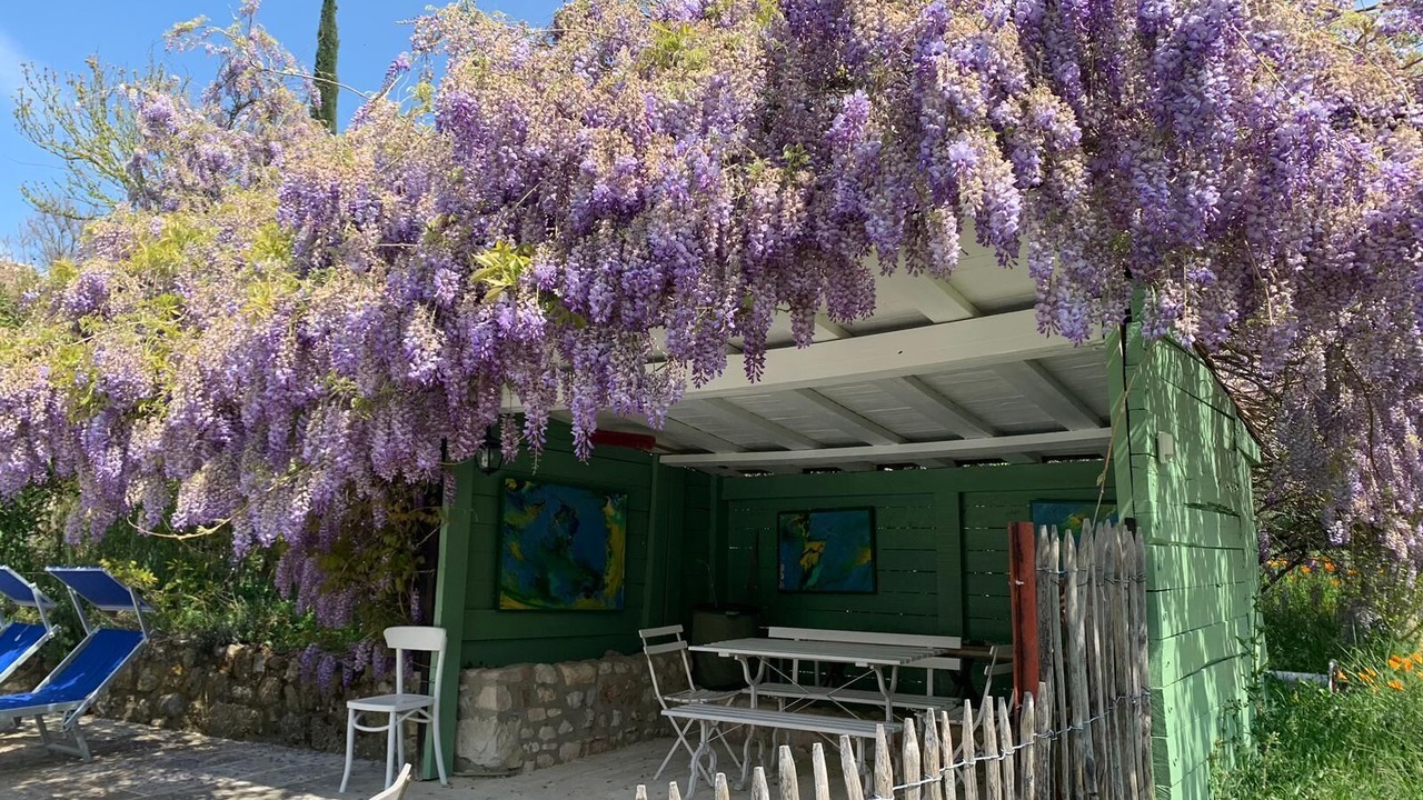 Photo of Outdoor in Valaurie