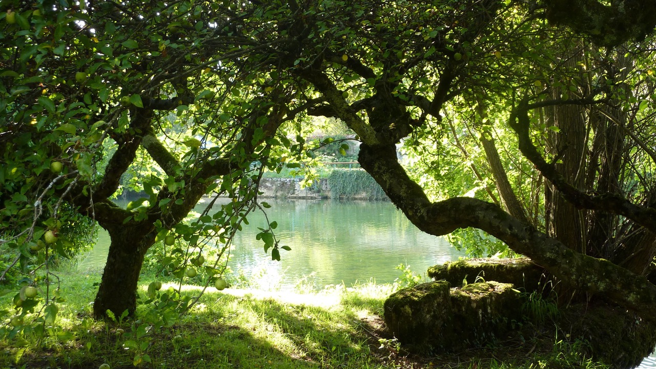 Photo of Outdoor in Ornans