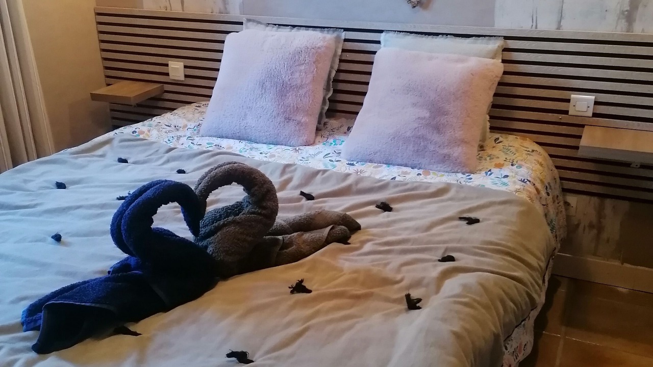 Photo of Bedroom in Raon-aux-Bois