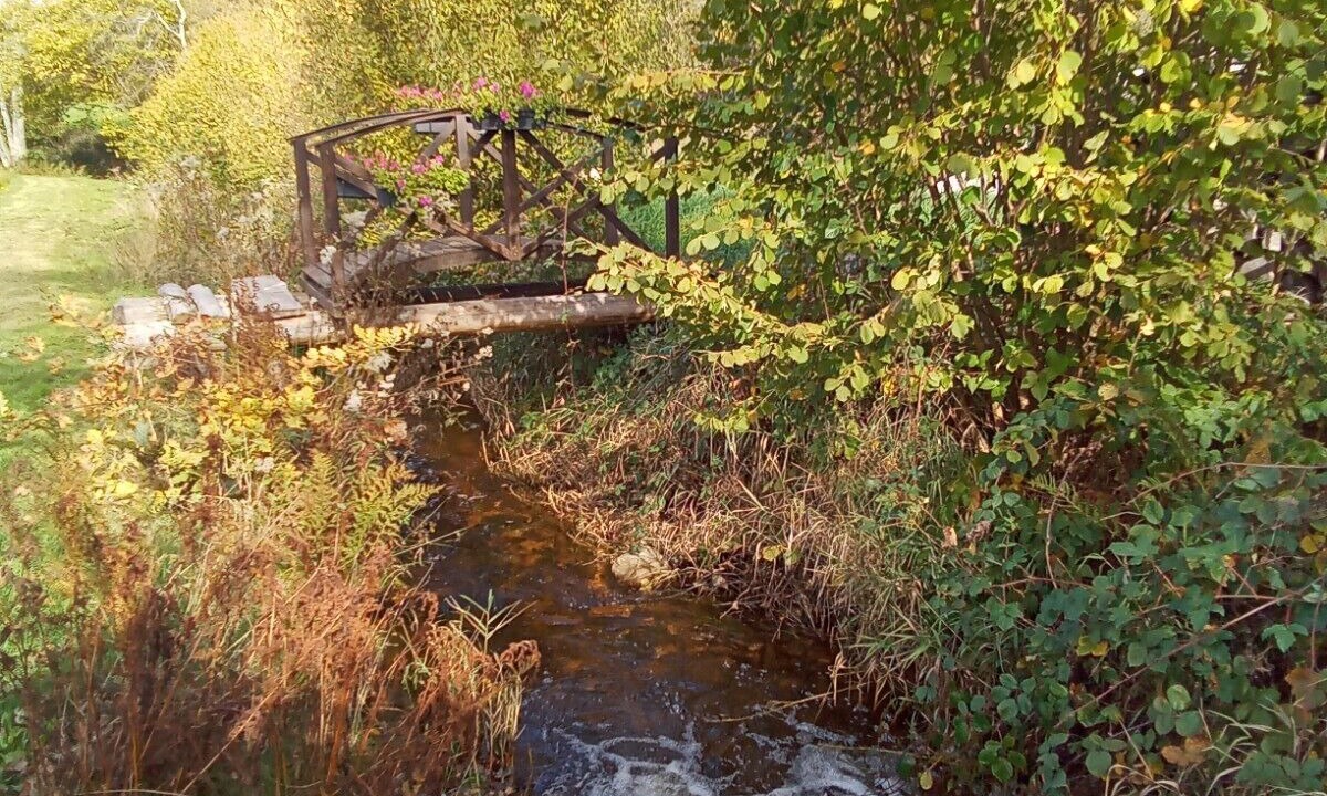 Photo of Outdoor in Raon-aux-Bois