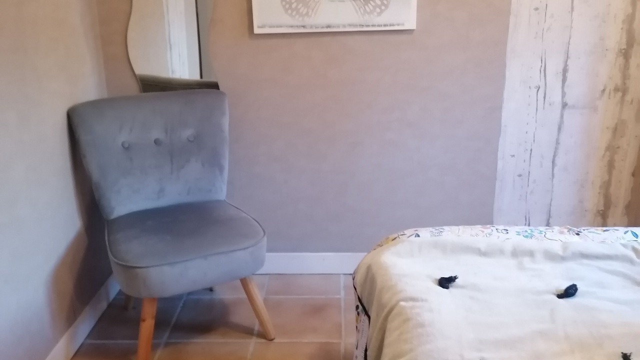 Photo of Bedroom in Raon-aux-Bois