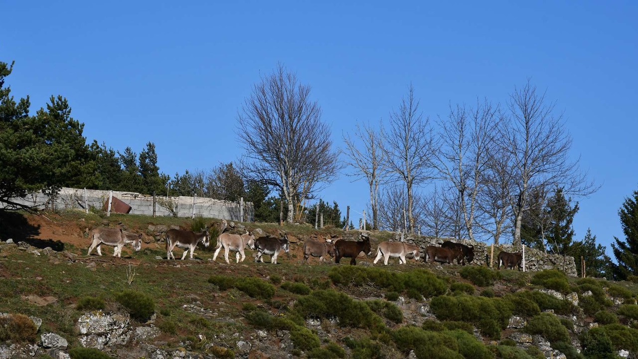 Photo of Outdoor in Saint-Front