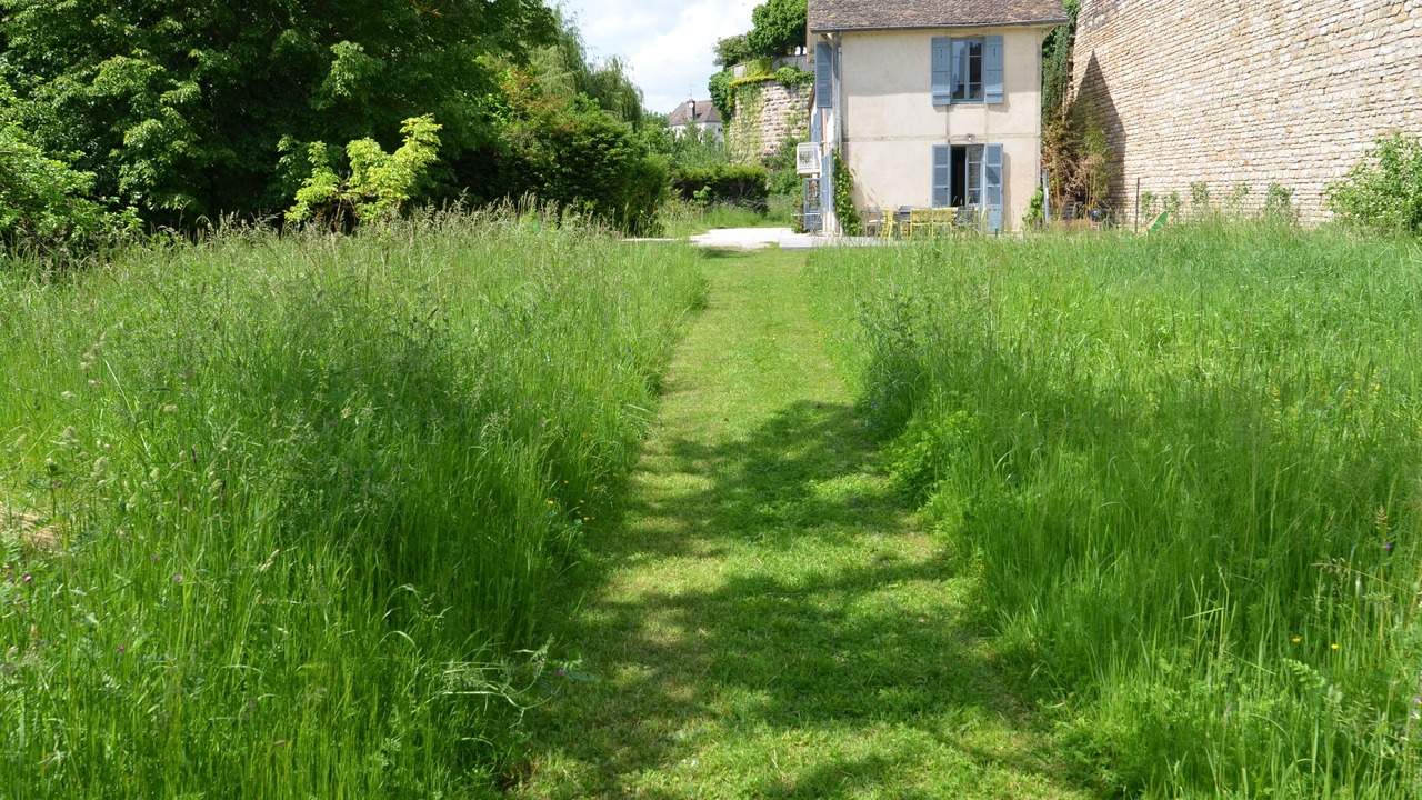 Photo of Outdoor in Beaune City Centre