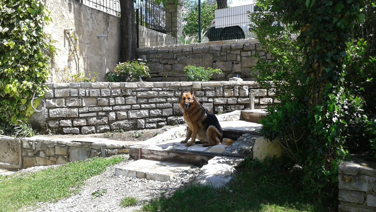 Photo of Outdoor in Montguers