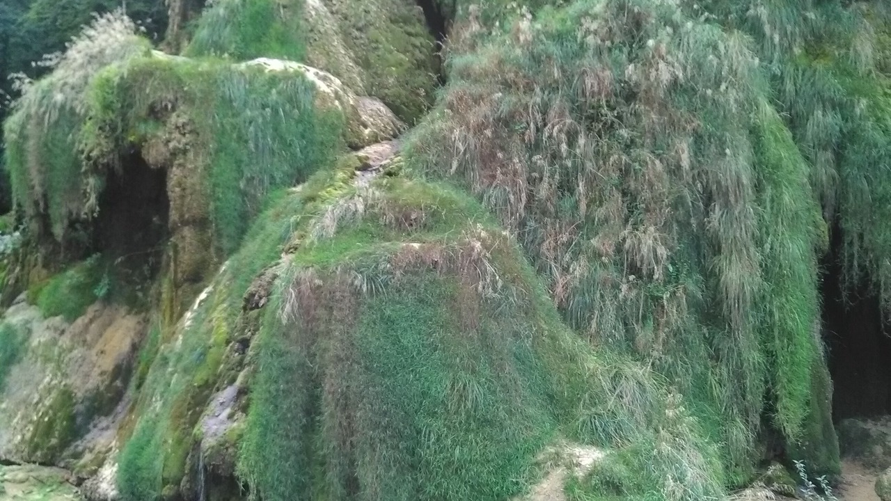 Photo of Outdoor in Montaigu