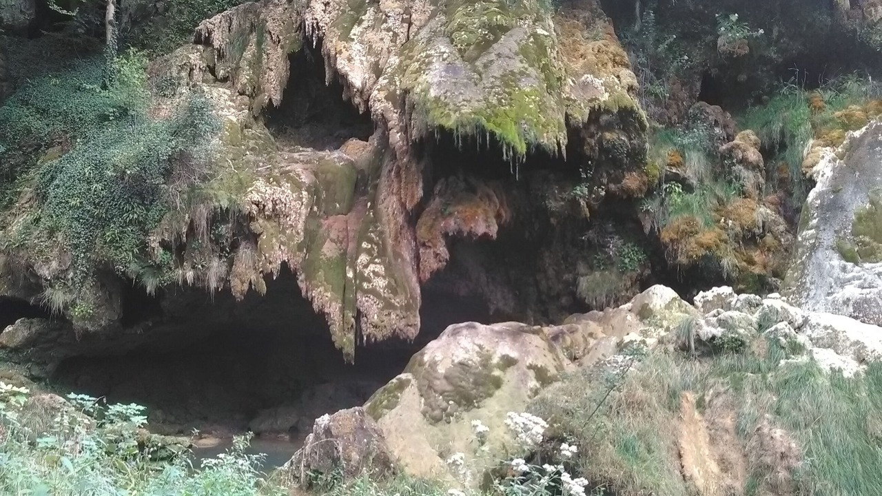 Photo of Others in Montaigu