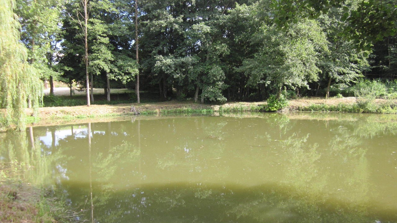 Photo of Others in They-sous-Montfort