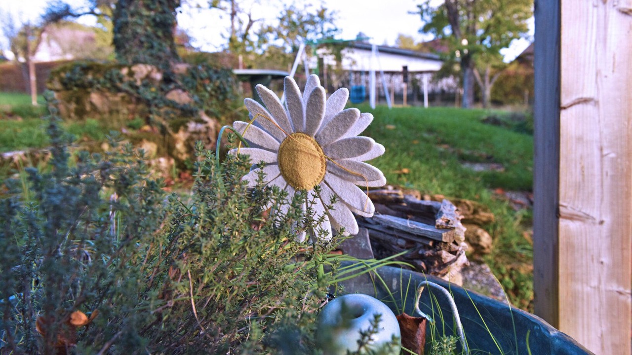 Photo of Outdoor in Malleloy