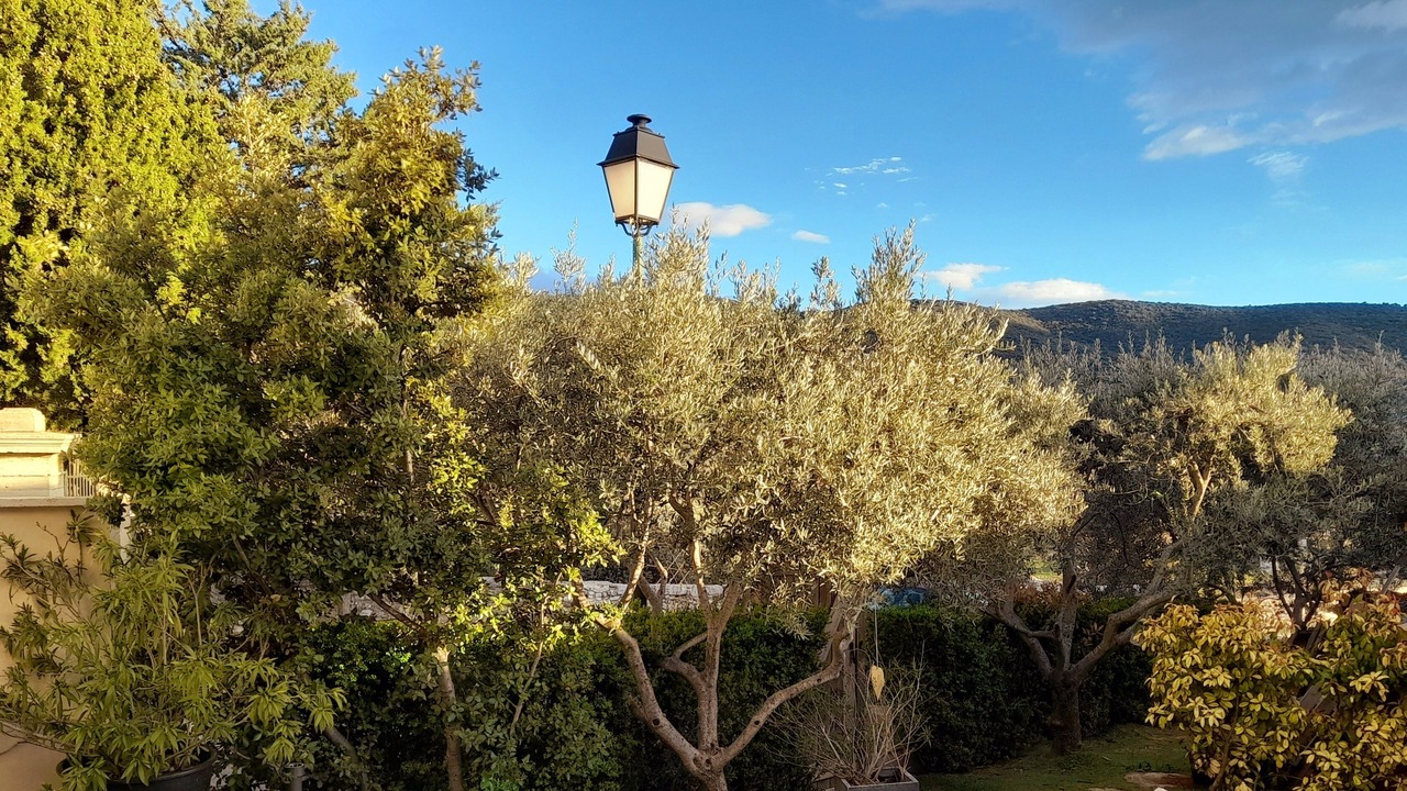 Photo of Outdoor in Methamis
