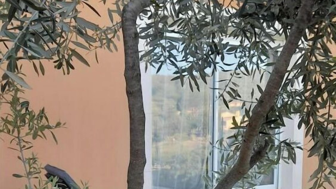 Photo of Outdoor in Flassan