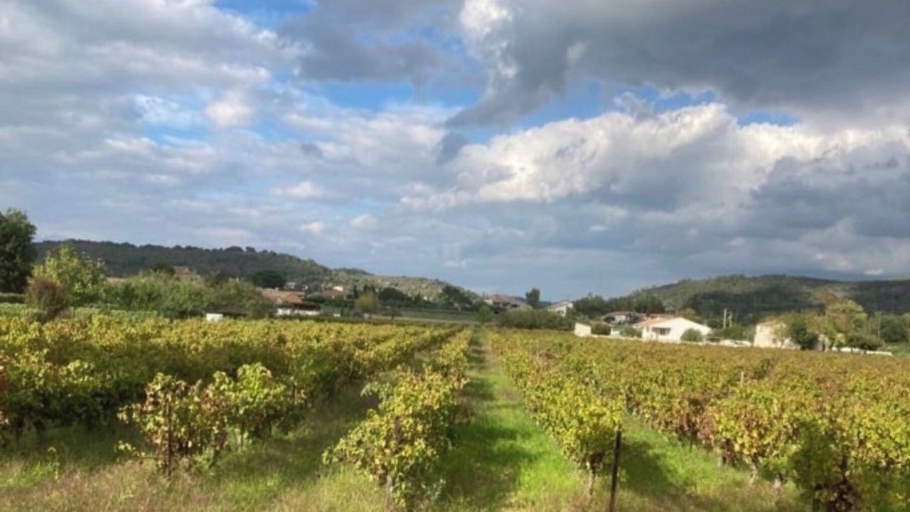 Photo of Outdoor in Vallon-Pont-d'Arc