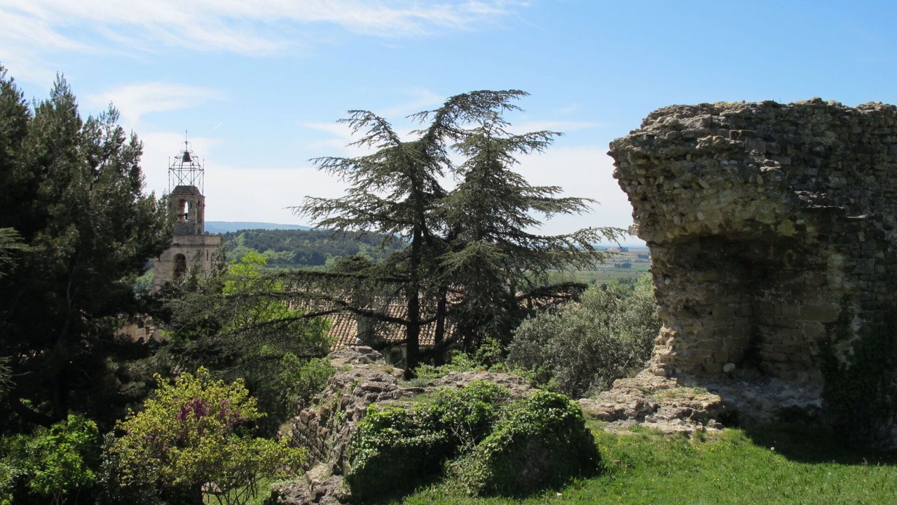 Photo of Others in Visan