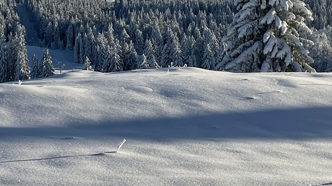 Photo of Outdoor in Les Rousses