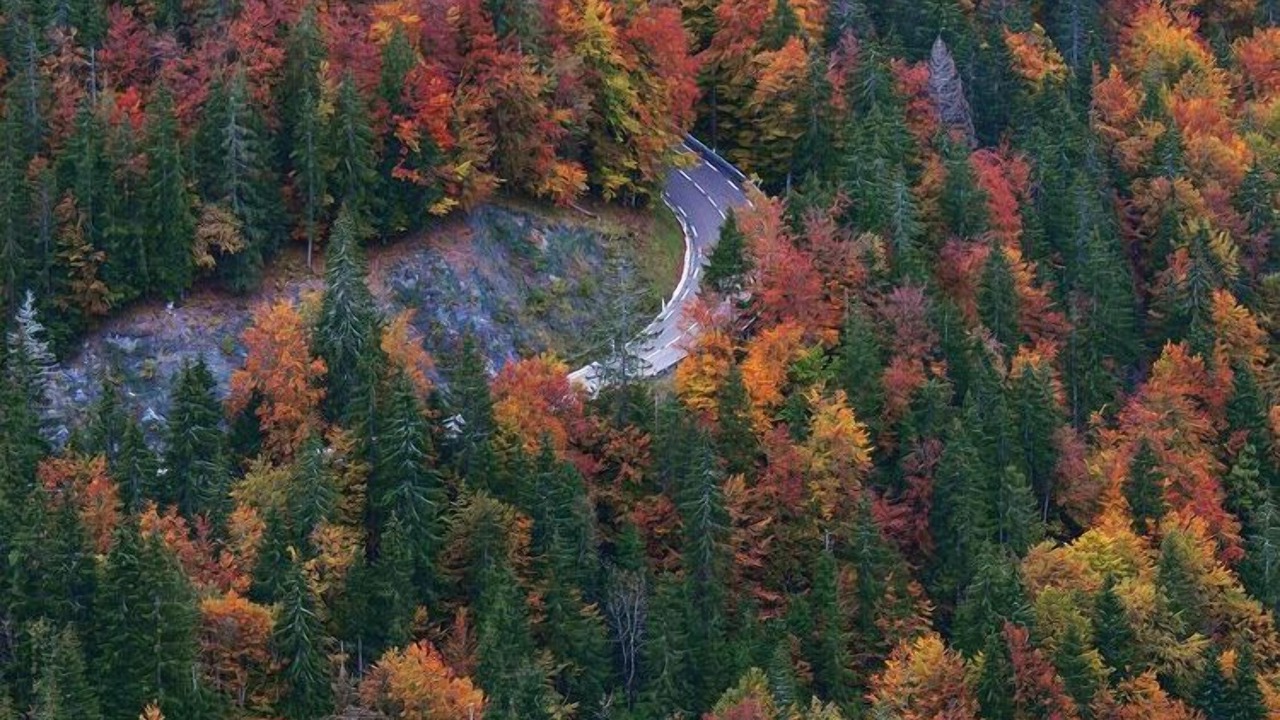 Photo of Outdoor in Les Rousses
