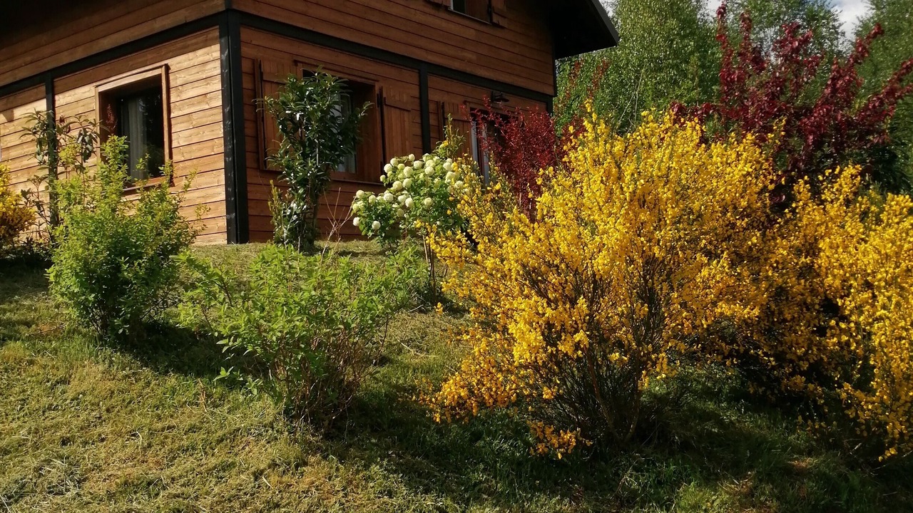 Photo of Outdoor in Gerardmer