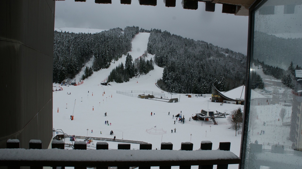 Photo of Others in Laveissiere