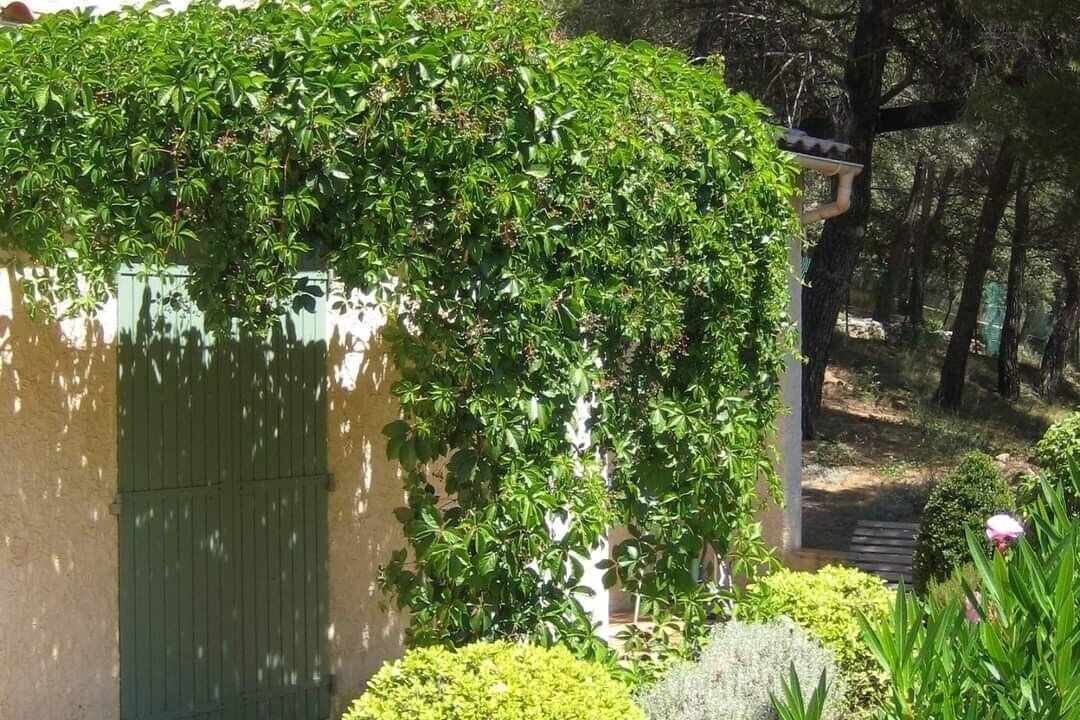 Photo of Outdoor in Bedoin