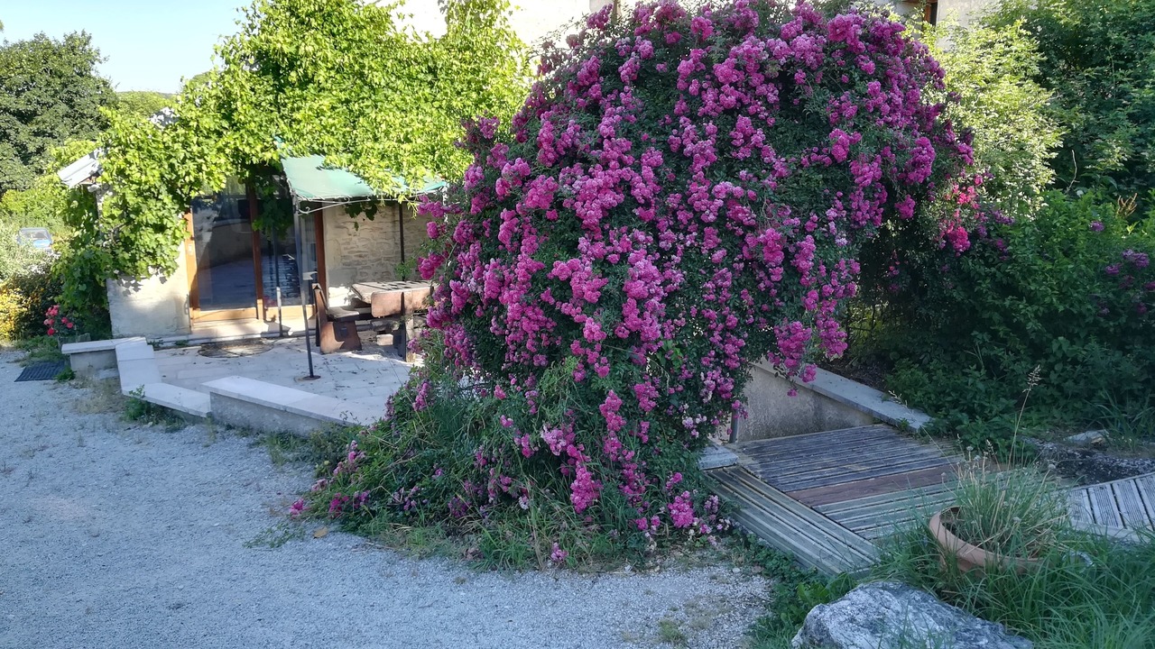 Photo of Outdoor in Sorans-les-Breurey