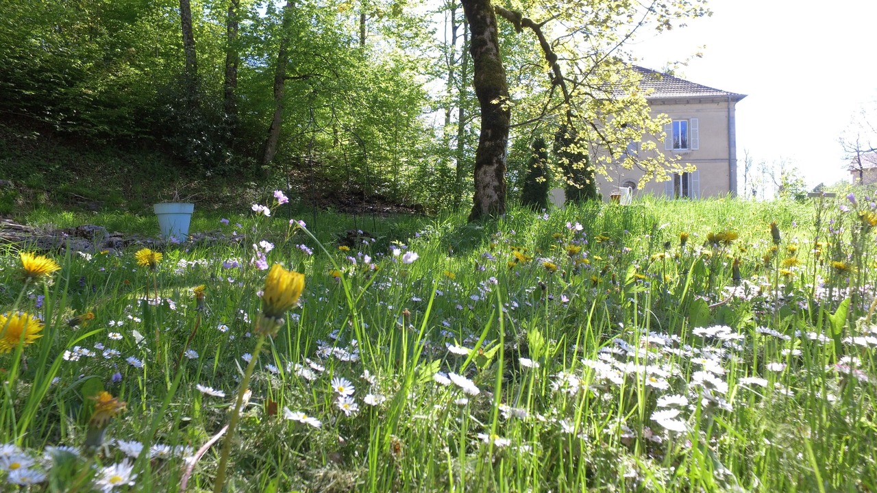 Photo of Outdoor in Foncine-le-Haut