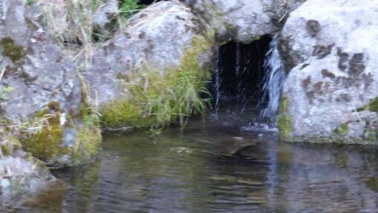 Photo of Others in Labastide-sur-Besorgues