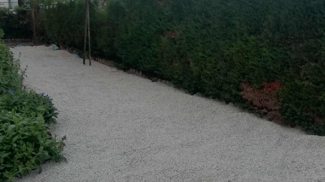 Photo of Outdoor in Foucherans
